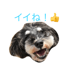 [LINEスタンプ] JI-JI＆JU_JU ①