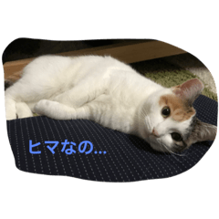 [LINEスタンプ] つむぎとこまると