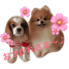 [LINEスタンプ] オクまん