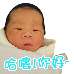 [LINEスタンプ] Hello, my name is Kaikai