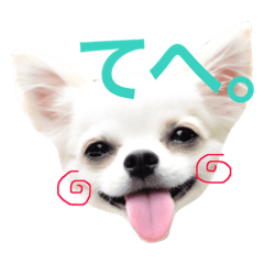 [LINEスタンプ] チワワのマレたん Vol.2