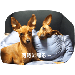 [LINEスタンプ] 花子と梅子