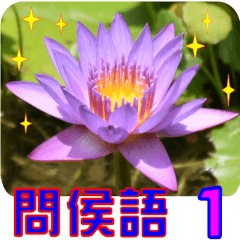 [LINEスタンプ] Flowers -3 lotus [Chinese version]の画像（メイン）