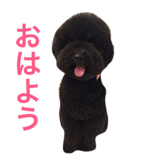 [LINEスタンプ] ジジとハナのハッピーライフ