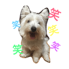 [LINEスタンプ] うさとりいぬぬ