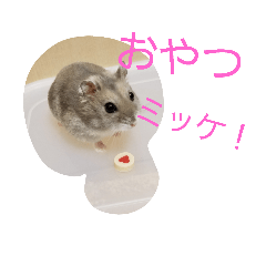 [LINEスタンプ] 黒ごま＆そら