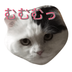 [LINEスタンプ] ルークたち 1