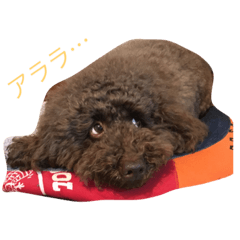 [LINEスタンプ] ザイオン スタンプ 24