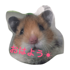 [LINEスタンプ] おかぴー