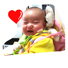 [LINEスタンプ] こっとん 100％
