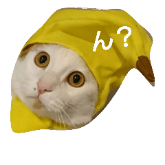 [LINEスタンプ] うちのあほ面小次郎さん