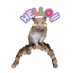 [LINEスタンプ] Hamster Jiffow's Home