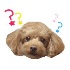 [LINEスタンプ] クロエ0814