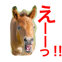 [LINEスタンプ] 馬♡御崎馬 2