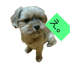 [LINEスタンプ] くうたす