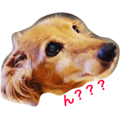 [LINEスタンプ] らっるいスタンプ第二弾