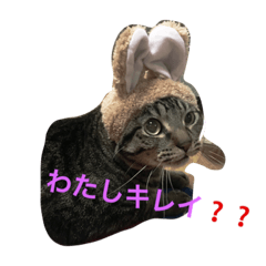 [LINEスタンプ] マツコメタボリック