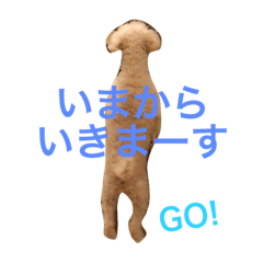 [LINEスタンプ] トイプー☆モモ