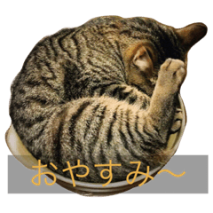 [LINEスタンプ] ザク01