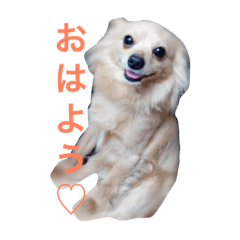 [LINEスタンプ] マロンくん♡