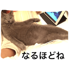 [LINEスタンプ] ミルク(みぃ)