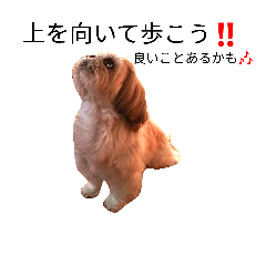 [LINEスタンプ] ウチのキュートな犬