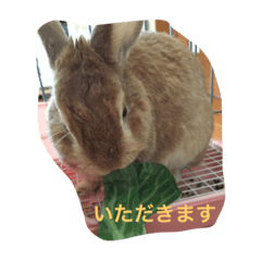 [LINEスタンプ] うちのうーたん