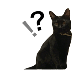 [LINEスタンプ] ダニエルUS