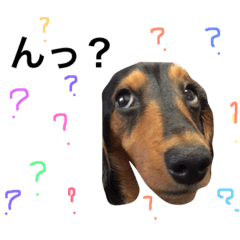 [LINEスタンプ] ロロの日常