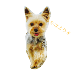 [LINEスタンプ] 愛犬なな