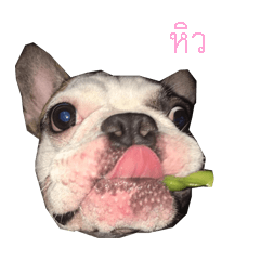 [LINEスタンプ] JAEH
