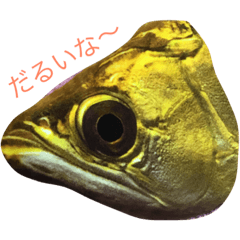 [LINEスタンプ] アロワナ1