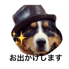 [LINEスタンプ] アルドラ1