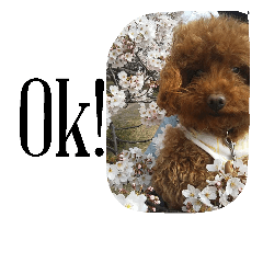 [LINEスタンプ] るーたん