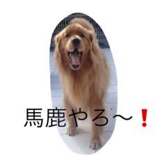 [LINEスタンプ] ゴールデンデン