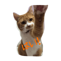 [LINEスタンプ] ひなさん