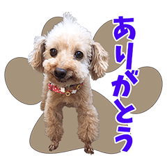 [LINEスタンプ] HS様の可愛いスタンプ