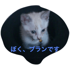 [LINEスタンプ] ブランの休日