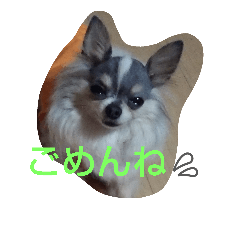 [LINEスタンプ] レオンライフ