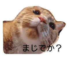 [LINEスタンプ] 龍と1