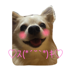 [LINEスタンプ] ハニたん