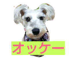 [LINEスタンプ] Our home"yota-biku"