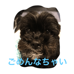 [LINEスタンプ] ワンコワンコ
