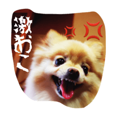 [LINEスタンプ] メルスタンプ