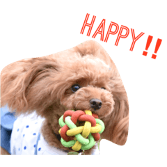[LINEスタンプ] みぃのきもち