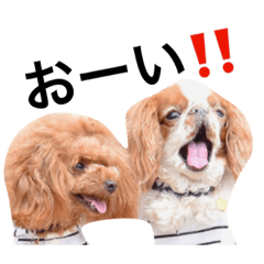 [LINEスタンプ] まるみとみぃのきもち