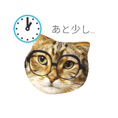 [LINEスタンプ] 猫のまろさんver.ビジネス
