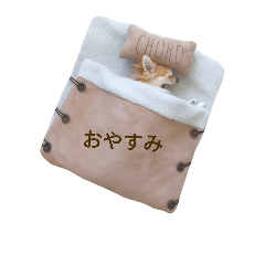 [LINEスタンプ] 我が家のチワワちょろまつスタンプ