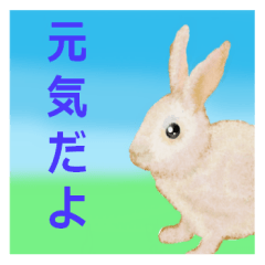 [LINEスタンプ] ウサギさんのスタンプの画像（メイン）