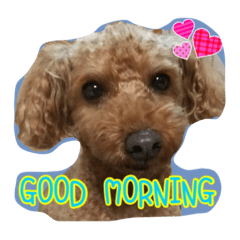 [LINEスタンプ] たっくん ご挨拶